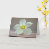 Sleutelbloem Kaart (Gele Bloem)