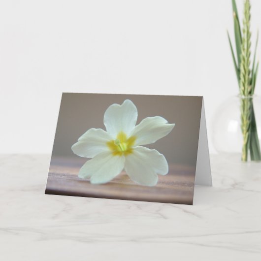 Sleutelbloem Kaart (Voorkant)