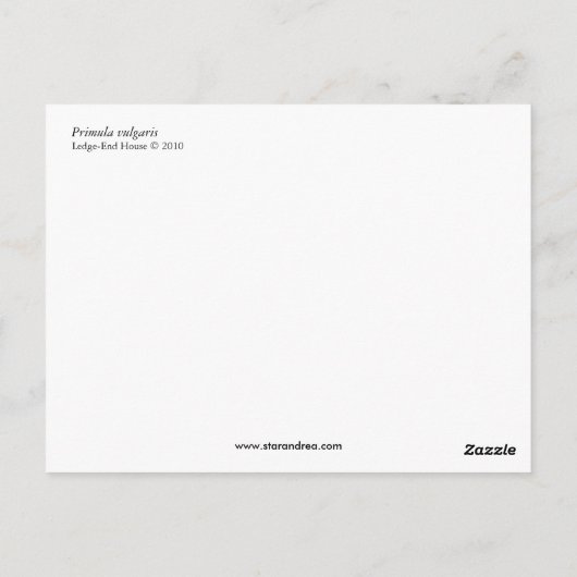 sleutelbloemen briefkaart (Achterkant)