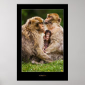 Sleutelgroep Poster (Voorkant)