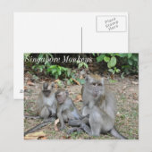 Sleutelgroep van Singapore Briefkaart (Voorkant / Achterkant)
