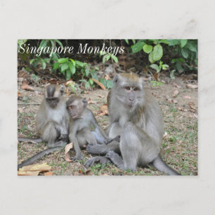 Sleutelgroep van Singapore Briefkaart