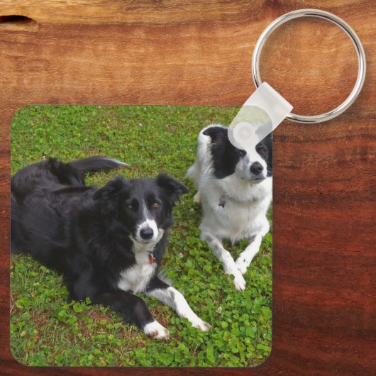 Sleutelhanger, 2,25 inch x 2,25 inch Border Collie Sleutelhanger (Achterkant)
