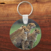 Sleutelhanger-Cheetah Sleutelhanger (Voorkant)