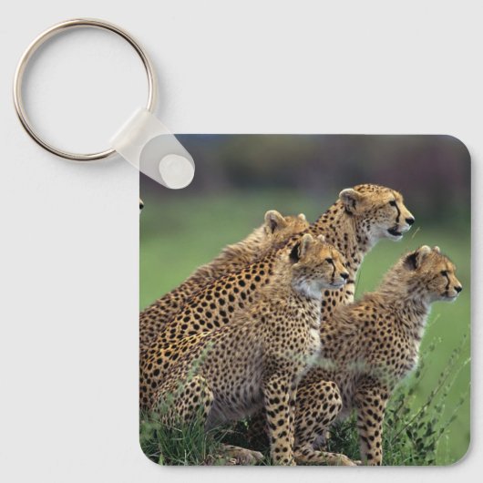 Sleutelhanger-Cheetah's Sleutelhanger (Voorkant)