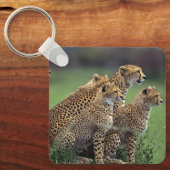 Sleutelhanger-Cheetah's Sleutelhanger (Voorkant)