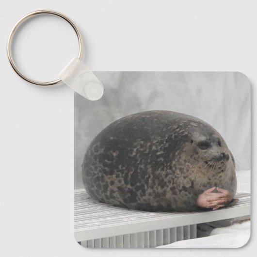 Sleutelhanger Chonky Seal Meme (Voorkant)