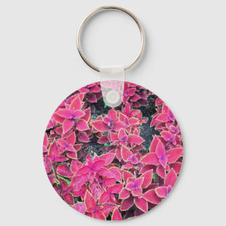 Sleutelhanger Coleus Planten Roze