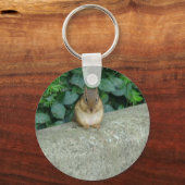 Sleutelhanger eekhoorn (Voorkant)