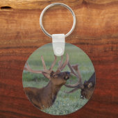 sleutelhanger eland (Voorkant)
