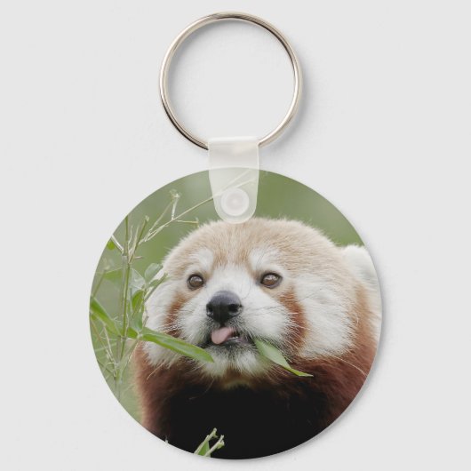 sleutelhanger Foto red panda, animal 0325. (Voorkant)