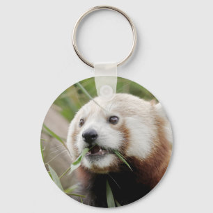 sleutelhanger Foto red panda, animal 0326.