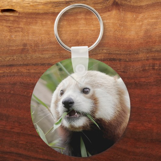 sleutelhanger Foto red panda, animal 0326. (Voorkant)