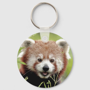 sleutelhanger Foto red panda, animal 0328.