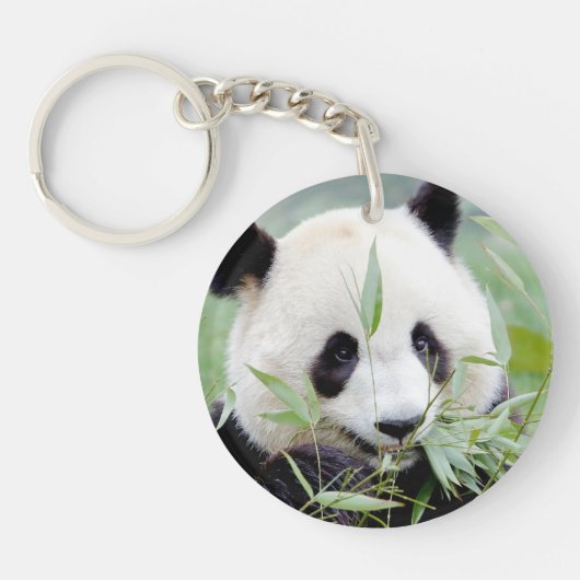 sleutelhanger foto reus panda 0061. (Voorkant)