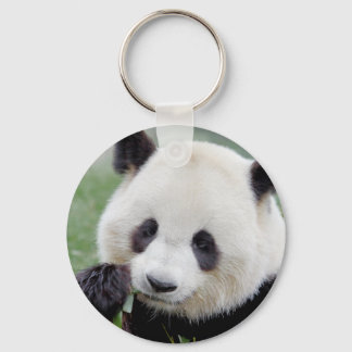 sleutelhanger Foto reus panda, animal 0216.