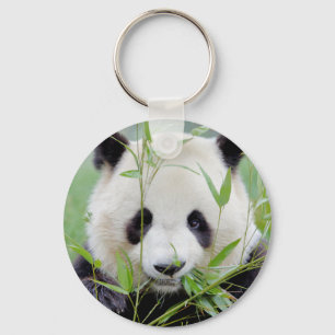 sleutelhanger Foto reus panda, animal 0218.