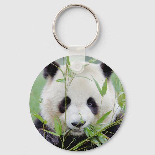 sleutelhanger Foto reus panda, animal 0218. (Voorkant)