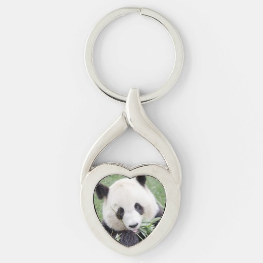 sleutelhanger Foto reus panda, animal 0247. (Voorkant)
