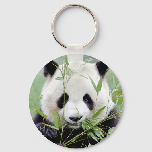 Sleutelhanger foto reus panda. Panda-wedstrijd. (Voorkant)