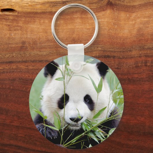 Sleutelhanger foto reus panda. Panda-wedstrijd. (Voorkant)