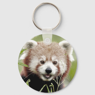 Sleutelhanger foto rode panda. Panda roux.