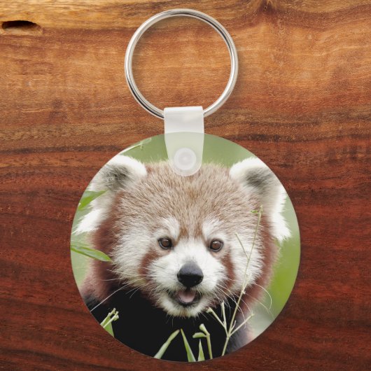 Sleutelhanger foto rode panda. Panda roux. (Voorkant)