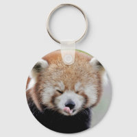 Sleutelhanger foto rode panda. Panda roux.