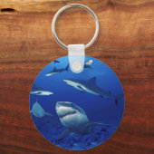 Sleutelhanger haaien (Voorkant)