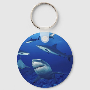 Sleutelhanger haaien