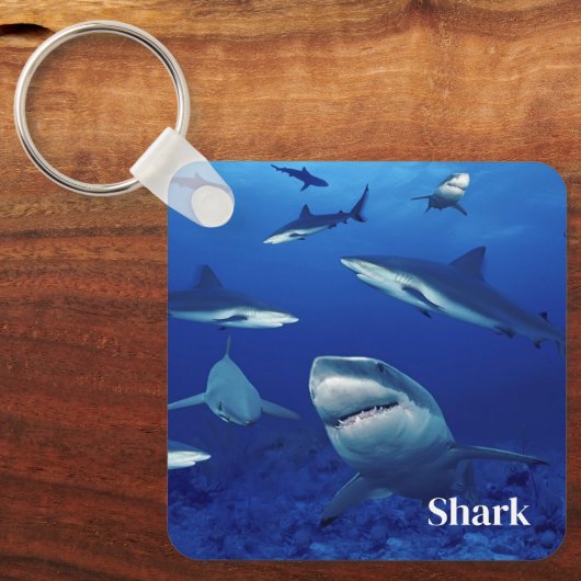 Sleutelhanger haaien (Voorkant)