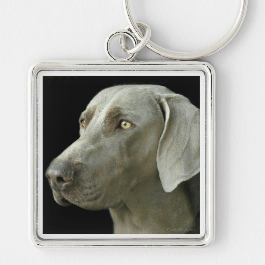 Sleutelhanger - Head Study Weimaraner (Voorkant)