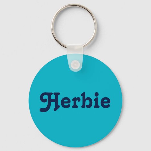 Sleutelhanger Herbie (Voorkant)