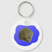 Sleutelhanger kikker (Voorkant)