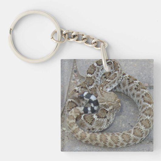 Sleutelhanger met Baby Rattlesnake (voorkant)