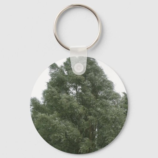 Sleutelhanger met boomtoppen (Voorkant)