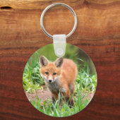 sleutelhanger met foto van de rode vosskit (Voorkant)