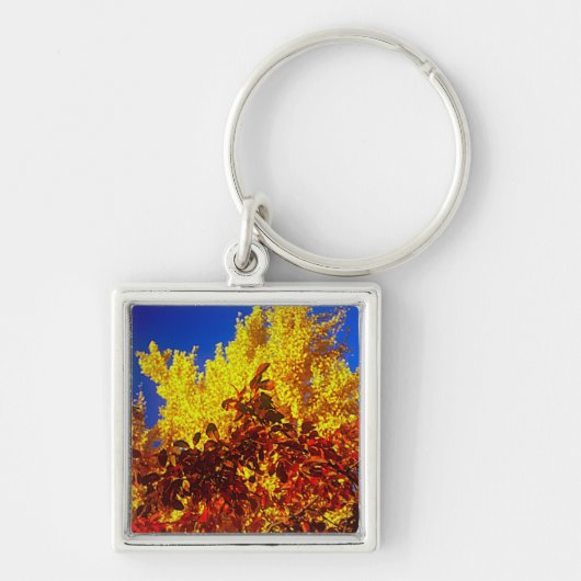 Sleutelhanger met foto van Herfst (Voorkant)