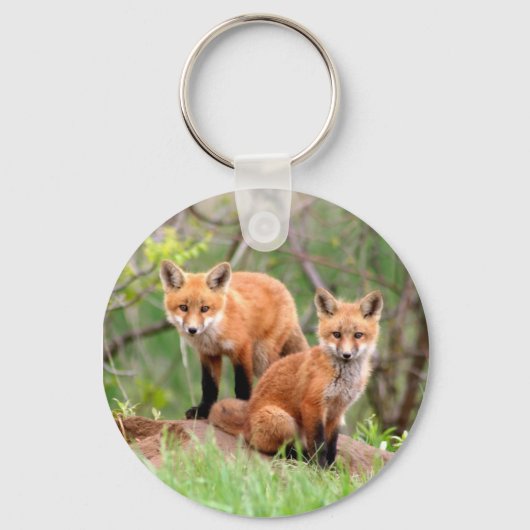 Sleutelhanger met foto van rode vossenpakketten (Voorkant)