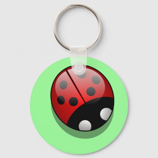 Sleutelhanger met kleine ladybug (Voorkant)