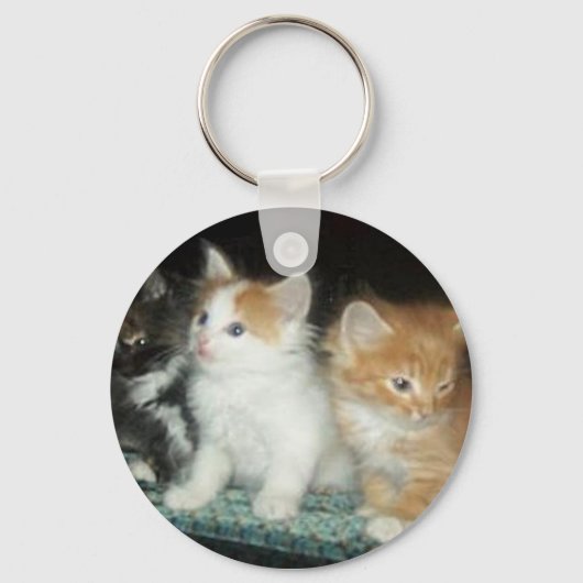 Sleutelhanger met Moppige Kittens (Voorkant)