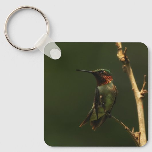 Sleutelhanger met robijnkeelkolibrie  (Voorkant)