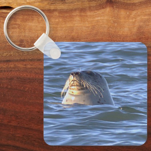 Sleutelhanger met zeehond foto (Voorkant)