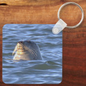 Sleutelhanger met zeehond foto (Achterkant)