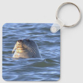 Sleutelhanger met zeehond foto (Achterkant)