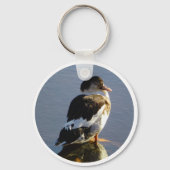 SLEUTELHANGER-Muscovy Duck Sleutelhanger (Voorkant)