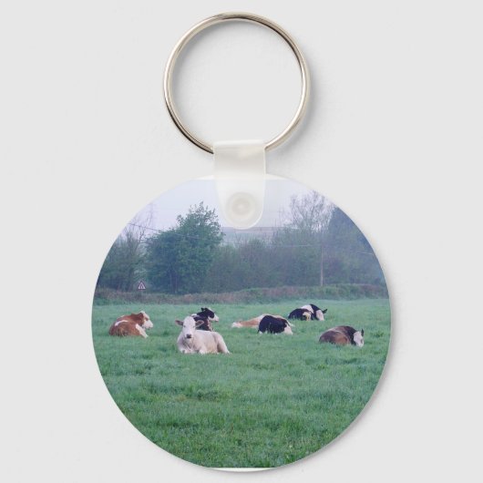 Sleutelhanger of sleutelhanger - Koeien - in kleur (Voorkant)