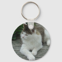 Sleutelhanger of toetsenbord - Maine Coon Cat Afbe