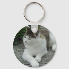 Sleutelhanger of toetsenbord - Maine Coon Cat Afbe