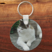 Sleutelhanger of toetsenbord - Maine Coon Cat Afbe (Voorkant)